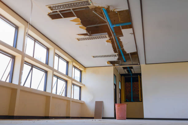 Best Water damage cleanup near me  in Ponchatou, LA