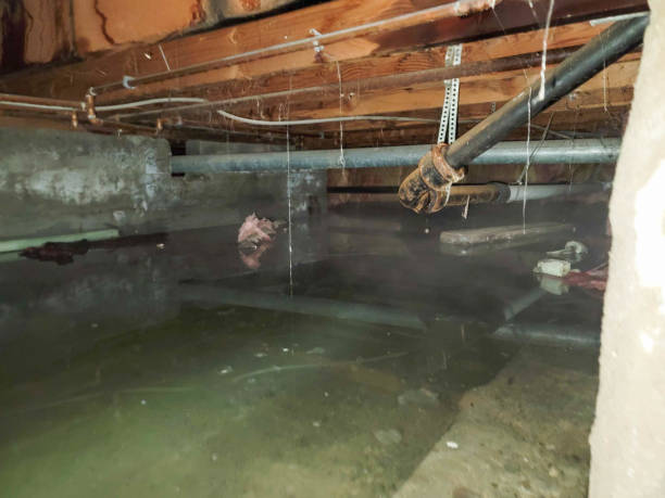 Ponchatoula, LA Water damage restoration Company