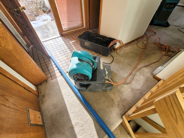 Best Carpet water damage restoration  in Ponchatou, LA