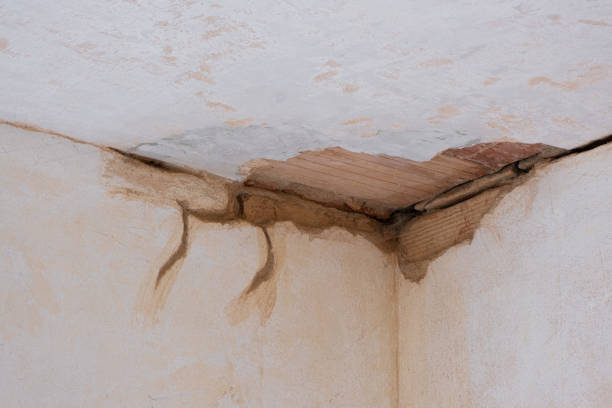 Best Ceiling water damage repair  in Ponchatou, LA