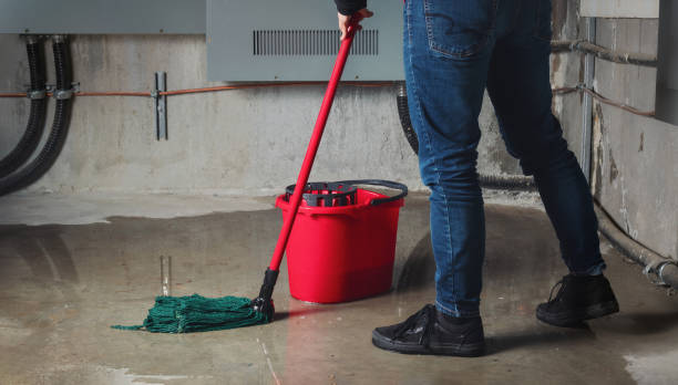 Best Flood damage cleanup  in Ponchatou, LA