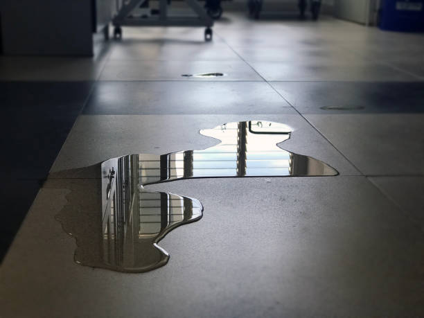 Best Water damage restoration cost  in Ponchatou, LA