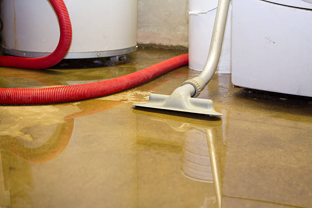 Best Water damage restoration near me  in Ponchatou, LA