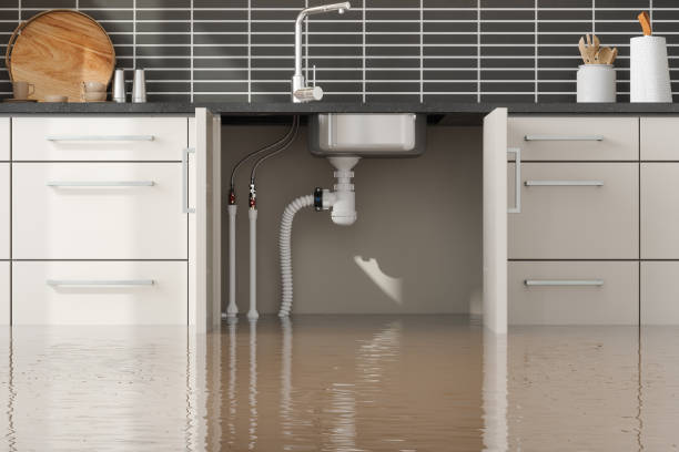 Best Local water damage restoration  in Ponchatou, LA