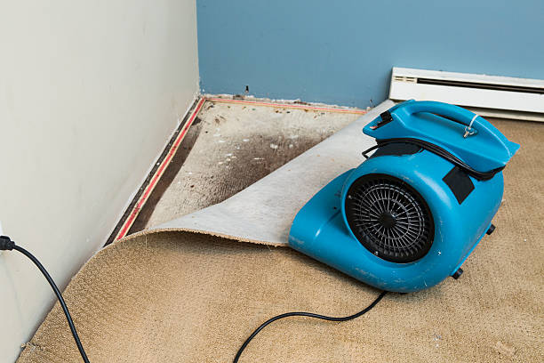 Best Emergency water damage restoration  in Ponchatou, LA